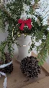 Boule de Noël avec prénom