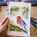 Aquarelle originale rouge-gorge