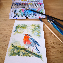 Aquarelle originale rouge-gorge