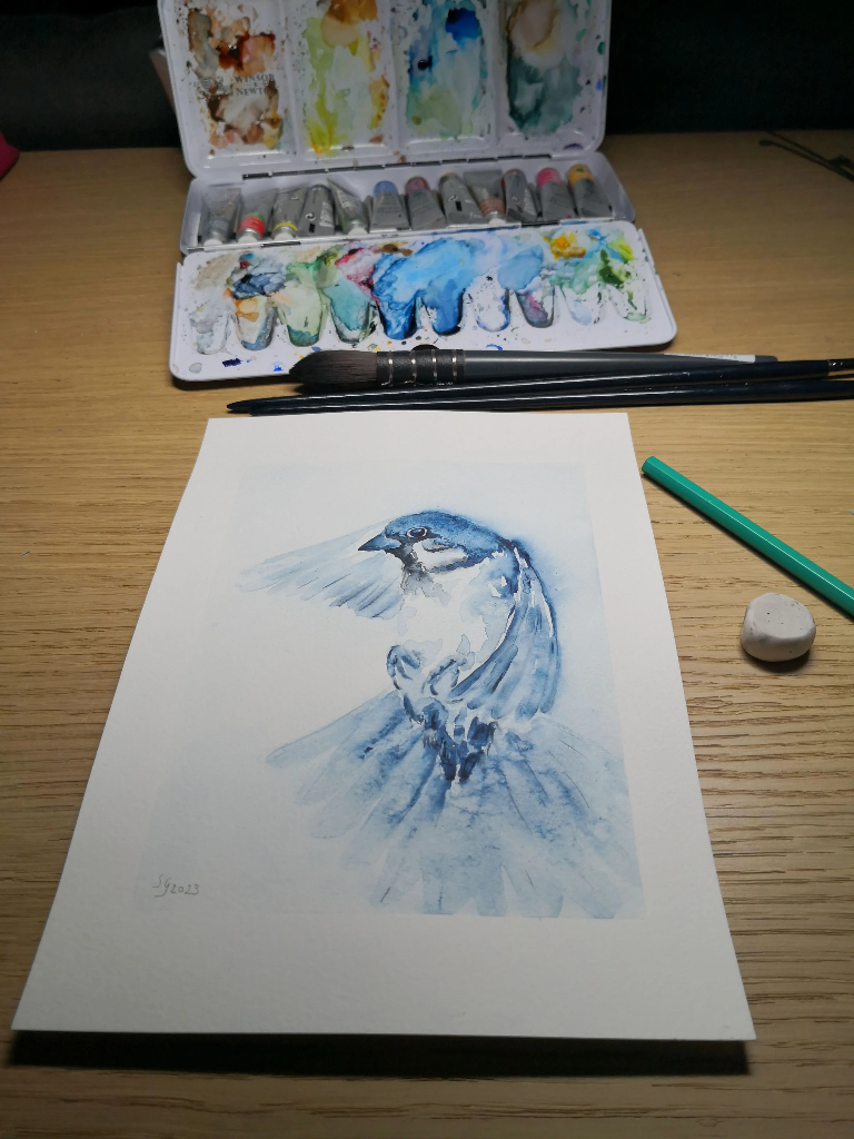 Aquarelle originale de moineau