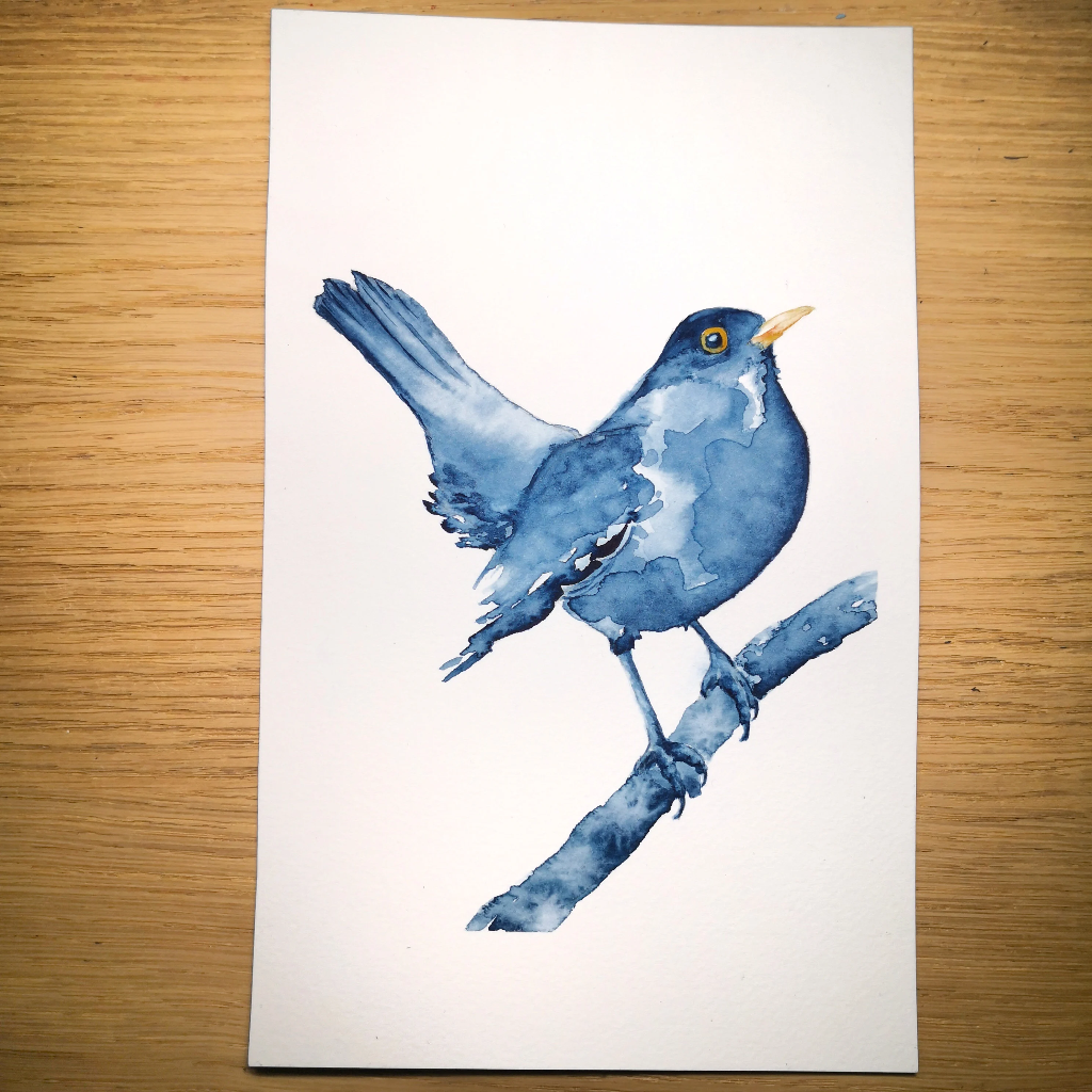 Aquarelle originale merle bleu sur sa branche