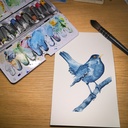 Aquarelle originale merle bleu sur sa branche
