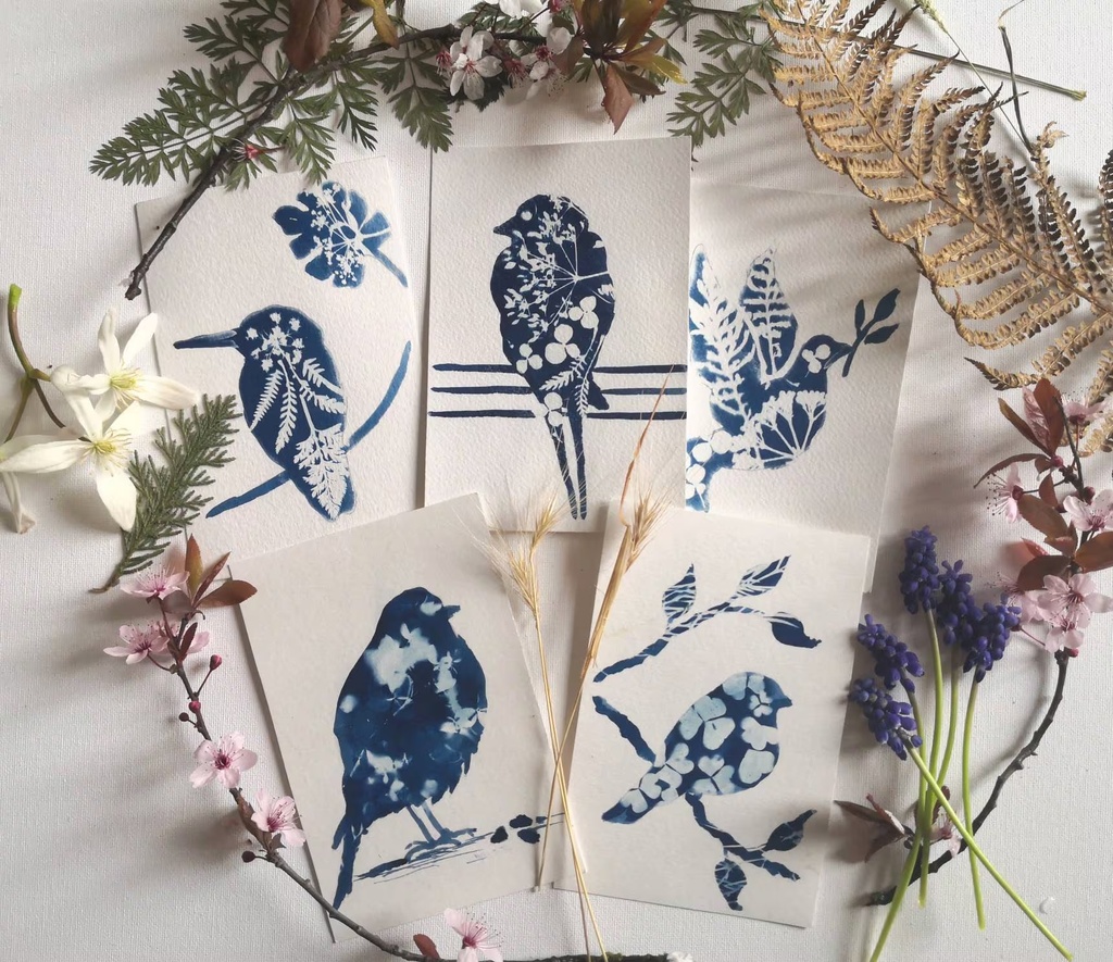 Kit DIY Solaire Artistique Cyanotype Motif Oiseaux