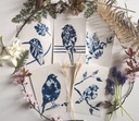 Kit DIY Solaire Artistique Cyanotype Motif Oiseaux