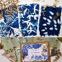 Kit DIY Impression Solaire Artistique en Cyanotype