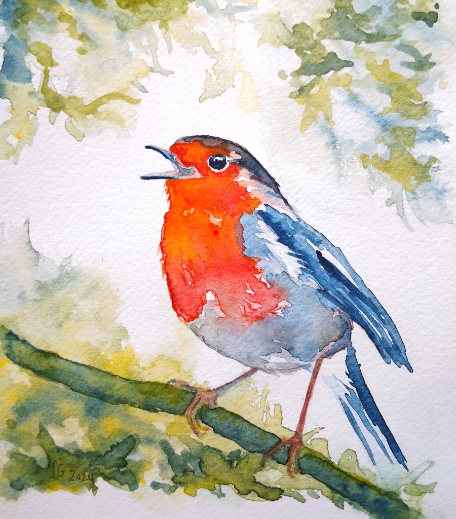 Aquarelle originale rouge-gorge