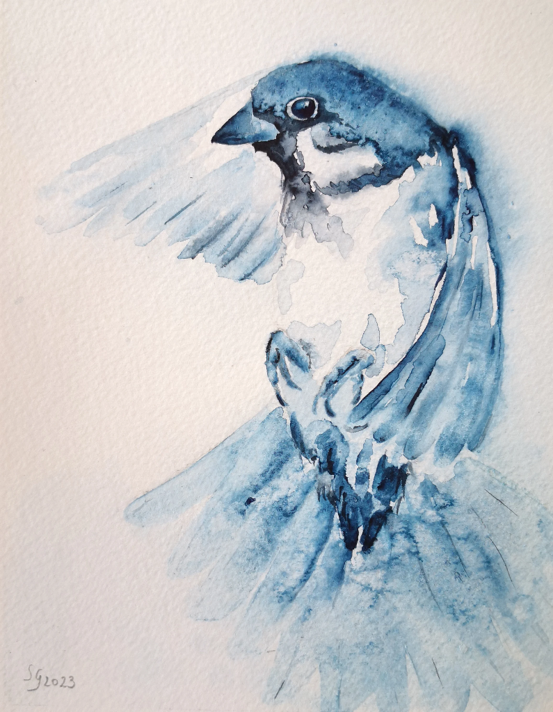 Aquarelle originale de moineau