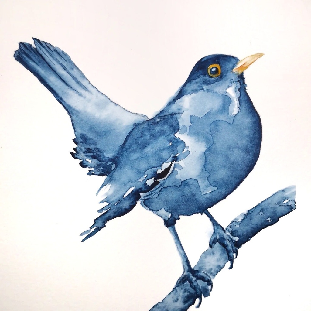 Aquarelle originale merle bleu sur sa branche