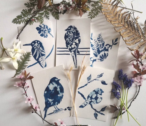 Kit DIY Solaire Artistique Cyanotype Motif Oiseaux